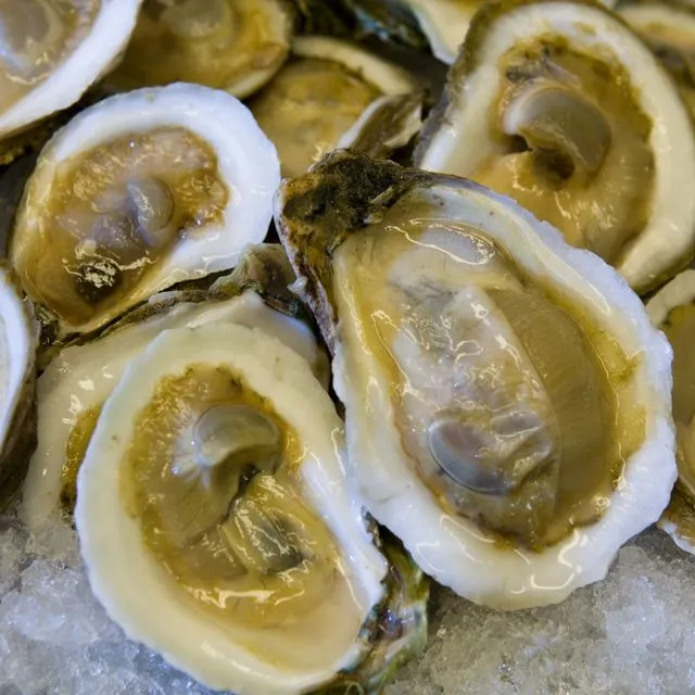 thumbnail for publication: Ensuring Safe Oysters: Essential Handling, Preparing, and Cooking Practices